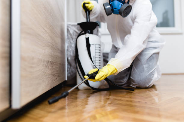 Best Emergency Pest Control  in Fullerton, PA