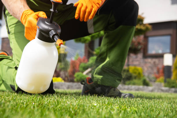 Best Affordable Pest Control Services  in Fullerton, PA