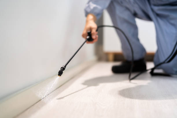 Pest Control Cost in Fullerton, PA