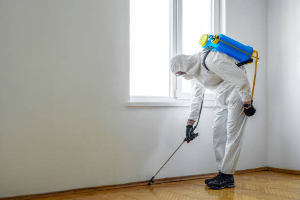 Best Rat Extermination Near Me  in Fullerton, PA